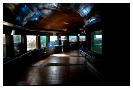 Centro Mexicano de la Tortuga, Mazunte